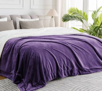 Frazada Manta Polar de Invierno King de 200x230cm